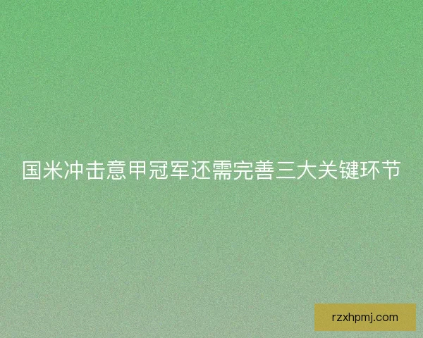 国米冲击意甲冠军还需完善三大关键环节